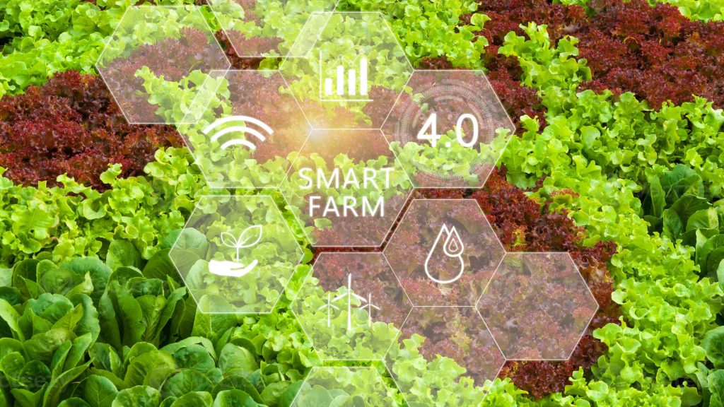 هوشمند سازی چیست و چه مزایا و کاربردی در صنایع دارد؟ 11 vegetable fresh in greenhouse with infographics smart farming and precision agriculture 4 0 with visual icon digital technology agriculture and smart farming concept photo